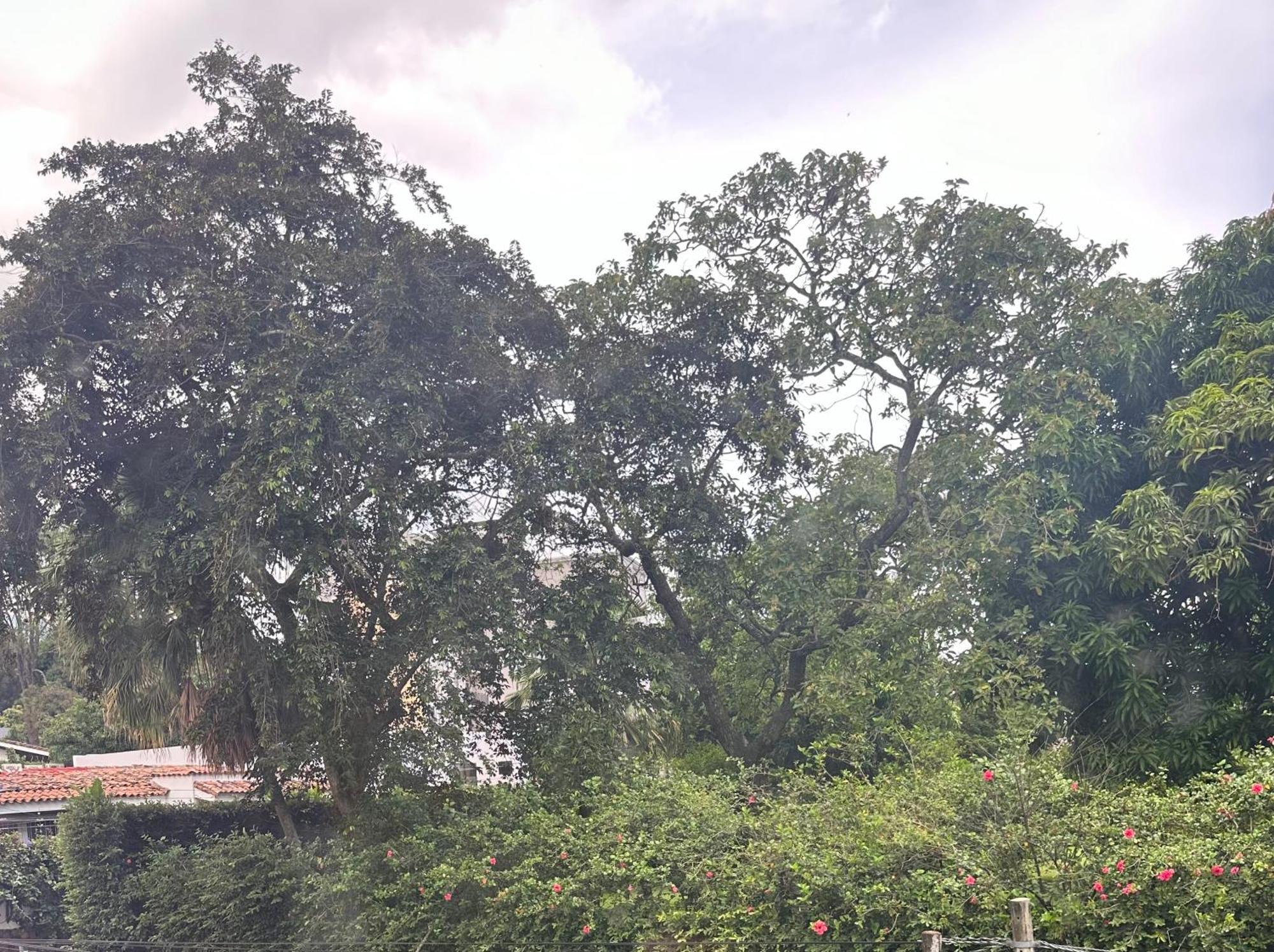 San Benito Apartamento Para 6 San Salvador Exteriér fotografie